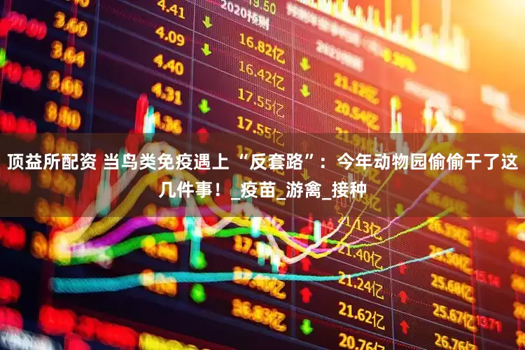 顶益所配资 当鸟类免疫遇上 “反套路”：今年动物园偷偷干了这几件事！_疫苗_游禽_接种